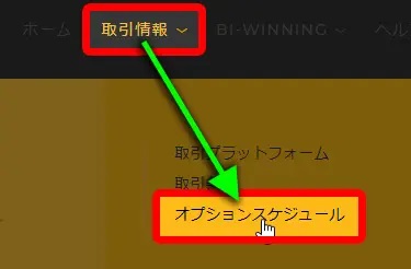 オプションスケジュール
